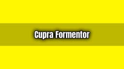 Cupra Formentor 2021: Teslimat Tarihi Belli Oldu