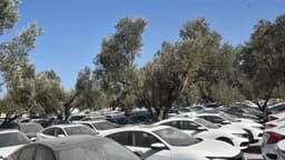 Masfed'den Stokçuluk Açıklaması