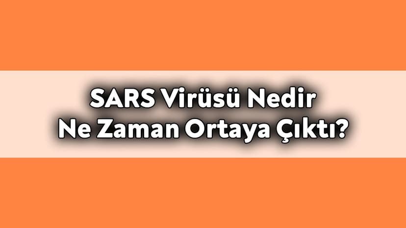 Sars Virüsü Nedir ve ne Zaman Ortaya Çıktı?