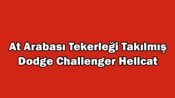 At Arabası Tekerleği Takılmış Dodge Challenger Hellcat