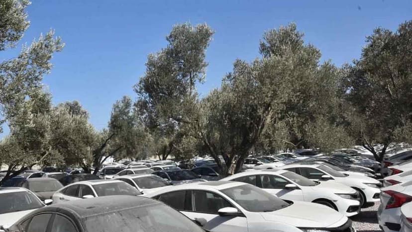 Masfed'den Stokçuluk Açıklaması