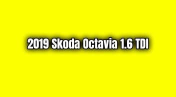 2019 Skoda Octavia 1.6 Tdi Özellikleri