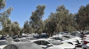 Masfed’den Stokçuluk Açıklaması