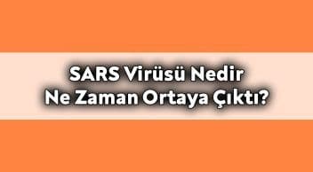 Sars Virüsü Nedir ve ne Zaman Ortaya Çıktı?