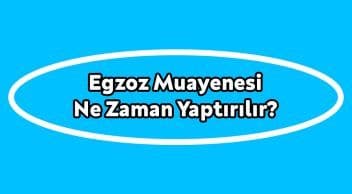 Egzoz Muayenesi ne Zaman Yaptırılır? Ücreti ne Kadar Oldu?
