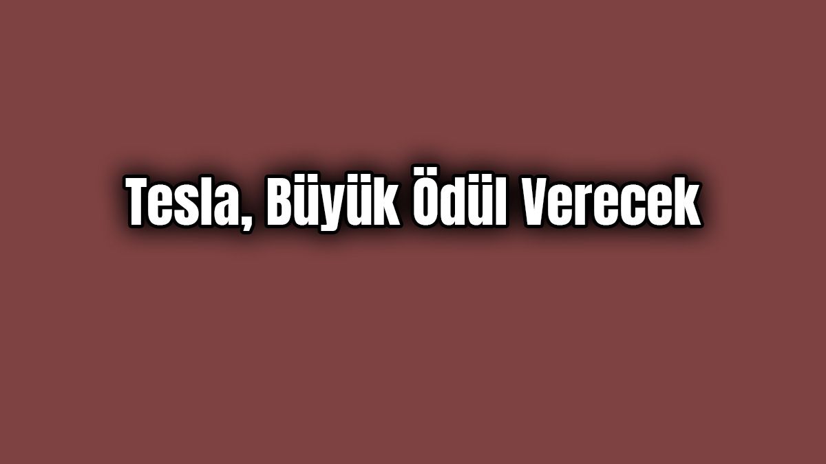 Tesla Büyük Ödül Verecek Yapmanız Gereken Tek Şey
